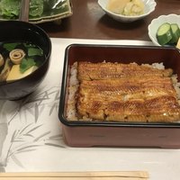 割烹 蒲焼 大沼 - うな重 中