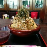 紗羅都伽 - ねぎざるつけ麺（大）