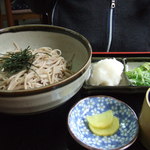 Hakodatesoba Shigino - またまたおろし蕎麦