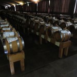 OPERA02 DI CA' MONTANARI - 