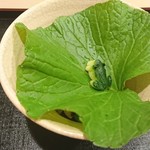 津の守坂 小柴 - かわいすぎる❤️