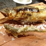 津の守坂 小柴 - 