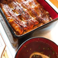 鰻割烹 伊豆栄 本店 - 