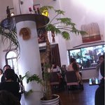 LION CURRY - 白基調の明るく・・・