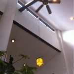 LION CURRY - ・・・やけに天井の高い店内。