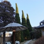 横浜うかい亭 - 庭にはオーナーの好きな槇の木が・・・