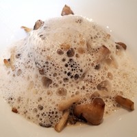 キノシタ - 本日の鮮魚のポワレ　キノコの軽いクリームソース
                    