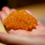 鮨 猪股 - いくら