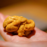 鮨 猪股 - 赤ウニ