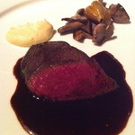 コポンノープ - 蝦夷鹿