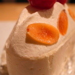 イデミスギノ - あくまで非凡な質感（2011年12月22日）