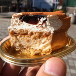 イデミスギノ - ラルム断面（2012年1月17日）