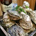 あぶり厨房 我風 - 