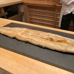 鮨 さかい - 立派な鰻です