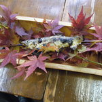 森のおみやげ屋 - 子持ち鮎の塩焼き