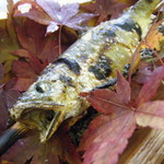 森のおみやげ屋 - 塩焼きアップ