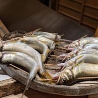 日本橋 蕎ノ字 - 