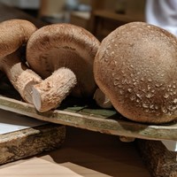 日本橋 蕎ノ字 - 