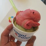 Zanoni&Zanoni - ・「2玉 2KUGELN(€2.50)」