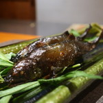 日本料理 幸庵 - 鮎の塩焼きアップ
