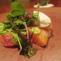 レグリエ - 冷前菜　サーモンミキュイ