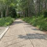 八ヶ岳 えさき - この道沿い