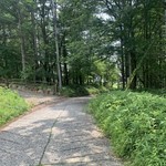 八ヶ岳 えさき - この道沿い