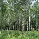 八ヶ岳 えさき - 店の周り