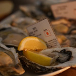 Daliguadalupe Terrace House - 