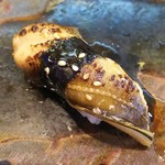 玄海鮨 - アナゴ（追加分）