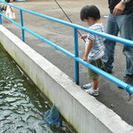 板取川 洞戸観光ヤナ - 併設の釣り堀