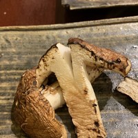 日本料理 太月 - 追加料理:ブータン産 松茸の炙り