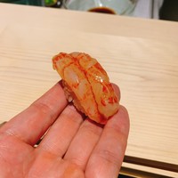 姫沙羅 - 