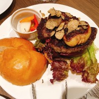 ダルマット 六本木ヒルズ店 - 