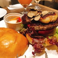 ダルマット 六本木ヒルズ店 - 