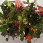 レフェルヴェソンス - 