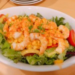 ミャゴラーレ - 