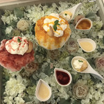 ツキノニジ - 可愛い❤(｡☌ᴗ☌｡)