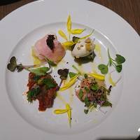 ダルマット 六本木ヒルズ店 - 