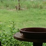 くつきそば 永昌庵 - 