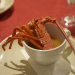 ビストロ セレニテ - 