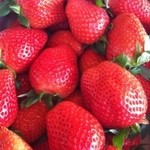 かわつら苺園 - やよいひめ～最高♪