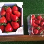 かわつら苺園 - やよいひめ・ふさの香（サービス）