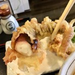 讃岐うどん 白庵 - げそ天断面