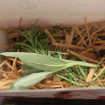 傳 - 傳タッキー