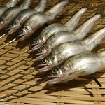 奈良 而今 - 動いてる(⌒-⌒; )