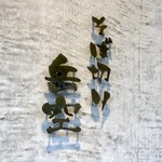 そば切り 岳空 - 