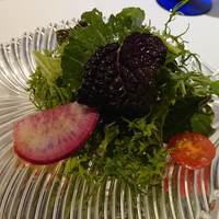 PRIMO - 突き出し