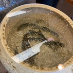 柚木元 - 天龍鮎