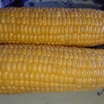 皮剥いたトウモロコシは身がびっしり。
